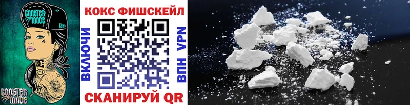 COCAIN Fish Scale  блэк спрут как войти  Сураж 
