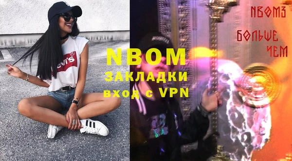 прущие грибы Беломорск