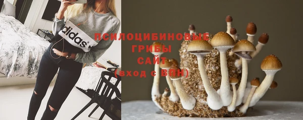 не бодяженный Белоозёрский