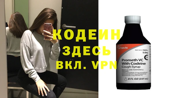 прущие грибы Беломорск