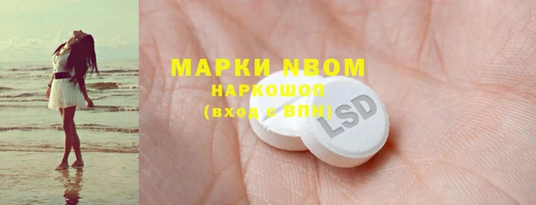 прущие грибы Беломорск