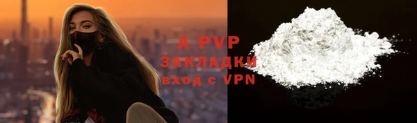 прущие грибы Беломорск