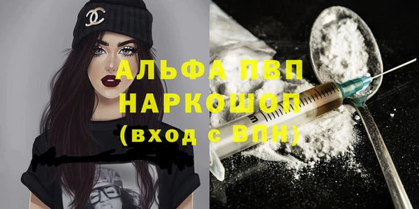прущие грибы Беломорск